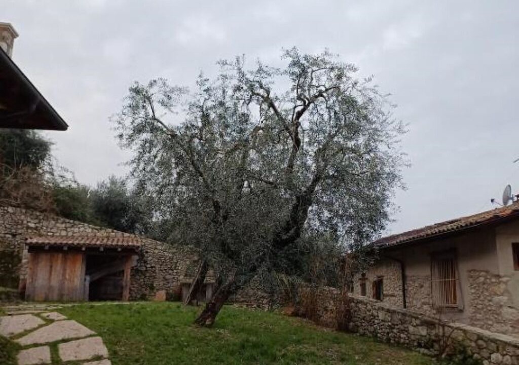 Photo of Outdoor in Assenza