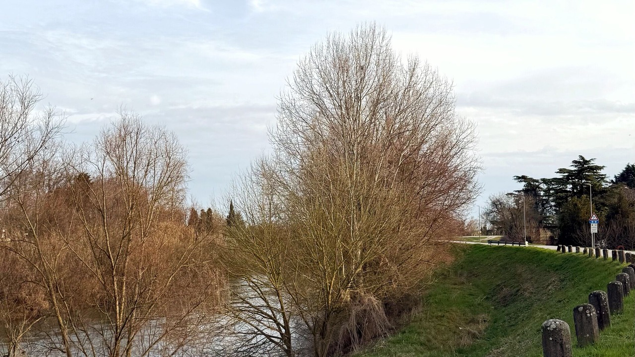 Photo of Others in Ponte San Nicolo