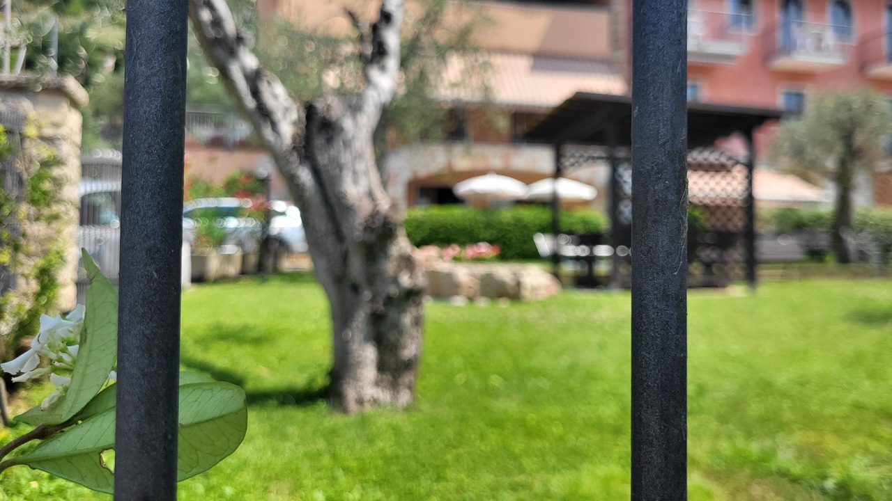 Photo of Outdoor in Brenzone sul Garda