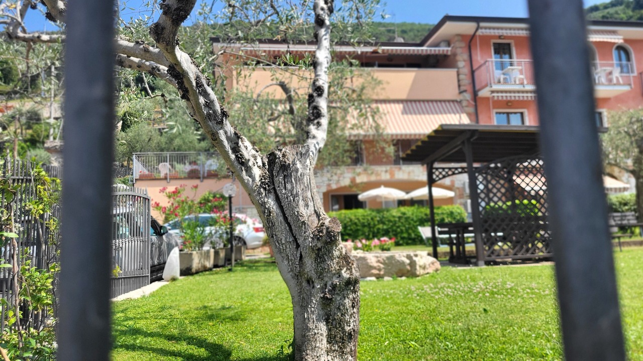 Photo of Outdoor in Brenzone sul Garda