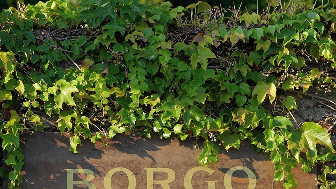 Photo of Outdoor in Corte Franca