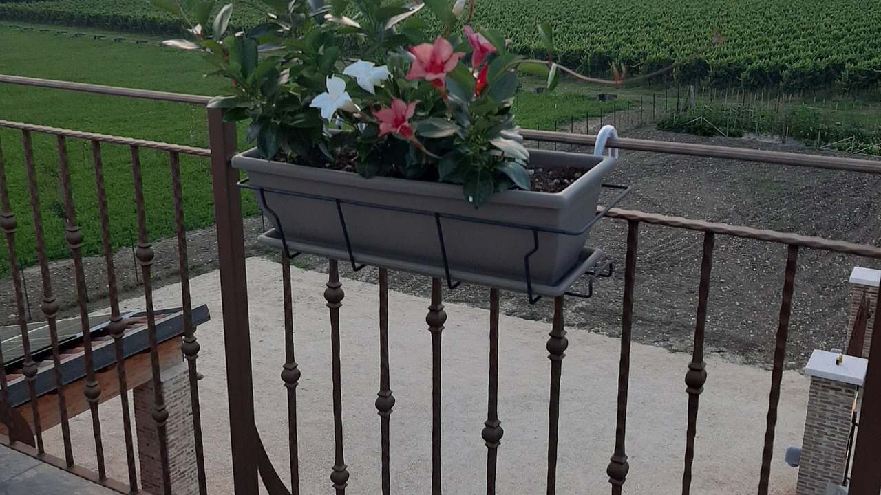 Photo of Patio Balcony in Settimo