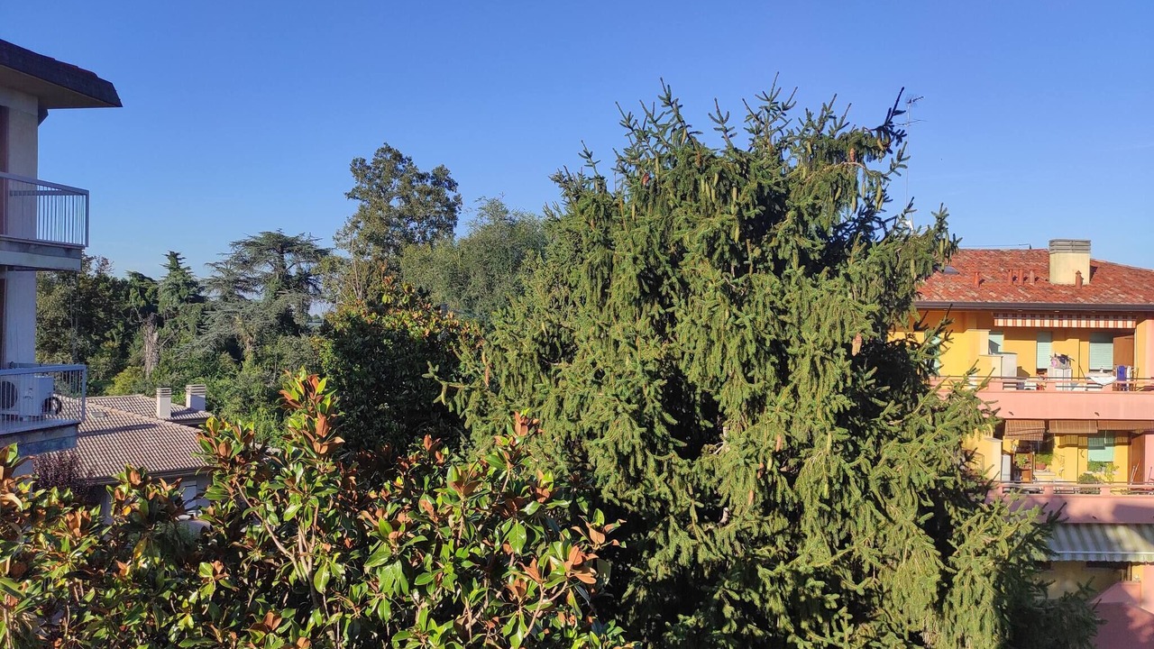 Photo of Outdoor in Ponte di Brenta