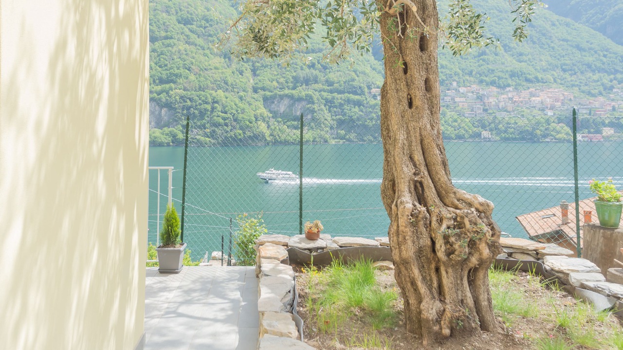 Photo of Others in Laglio