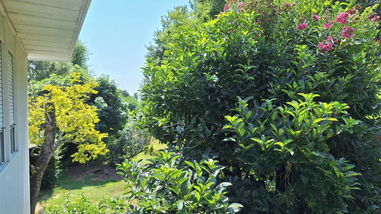 Photo of Outdoor in Nogare