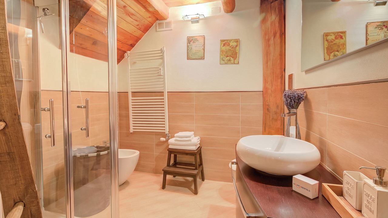 Photo of Bathroom in Cesana Torinese