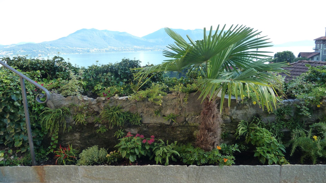 Photo of Outdoor in Cannero Riviera