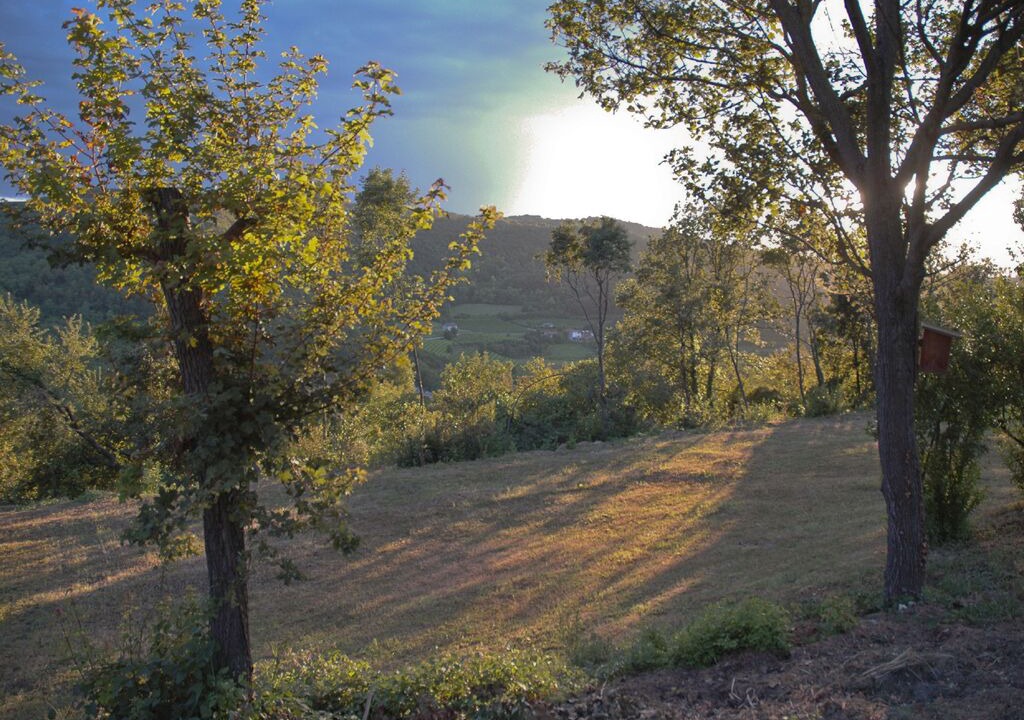 Photo of Outdoor in Arcugnano