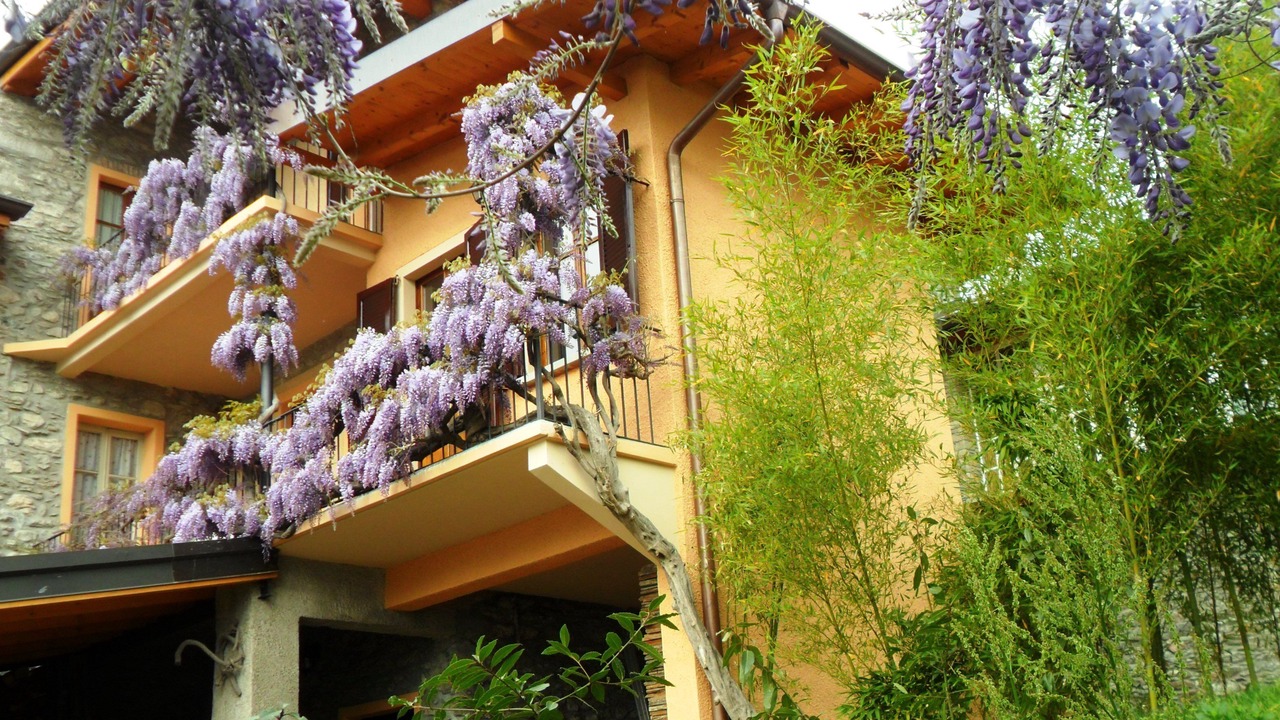 Photo of Outdoor in Cremia
