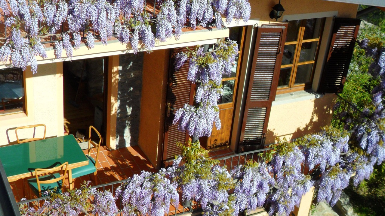 Photo of Outdoor in Cremia