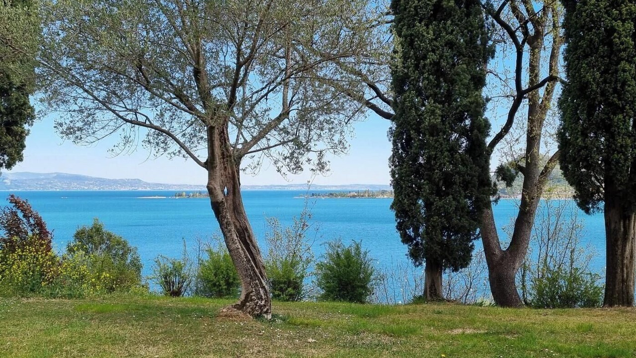 Photo of Others in Manerba del Garda