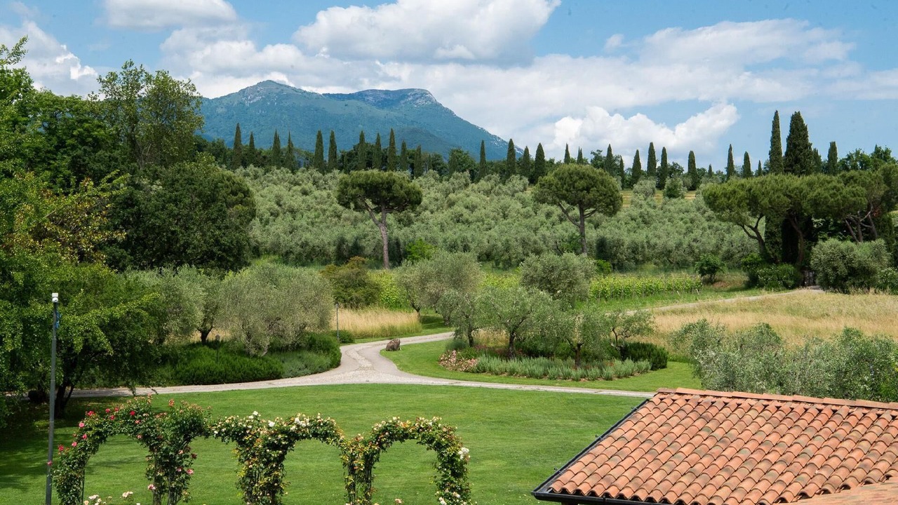 Photo of Others in Puegnago del Garda