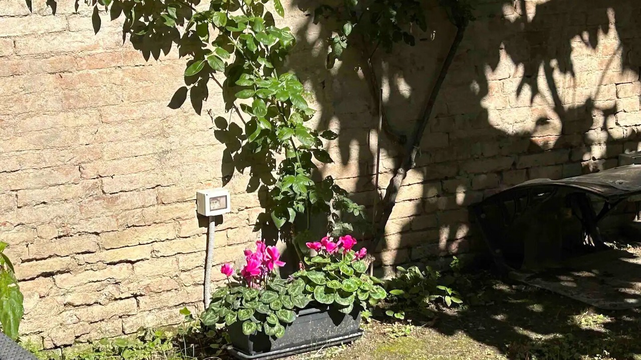 Photo of Outdoor in Historic Center