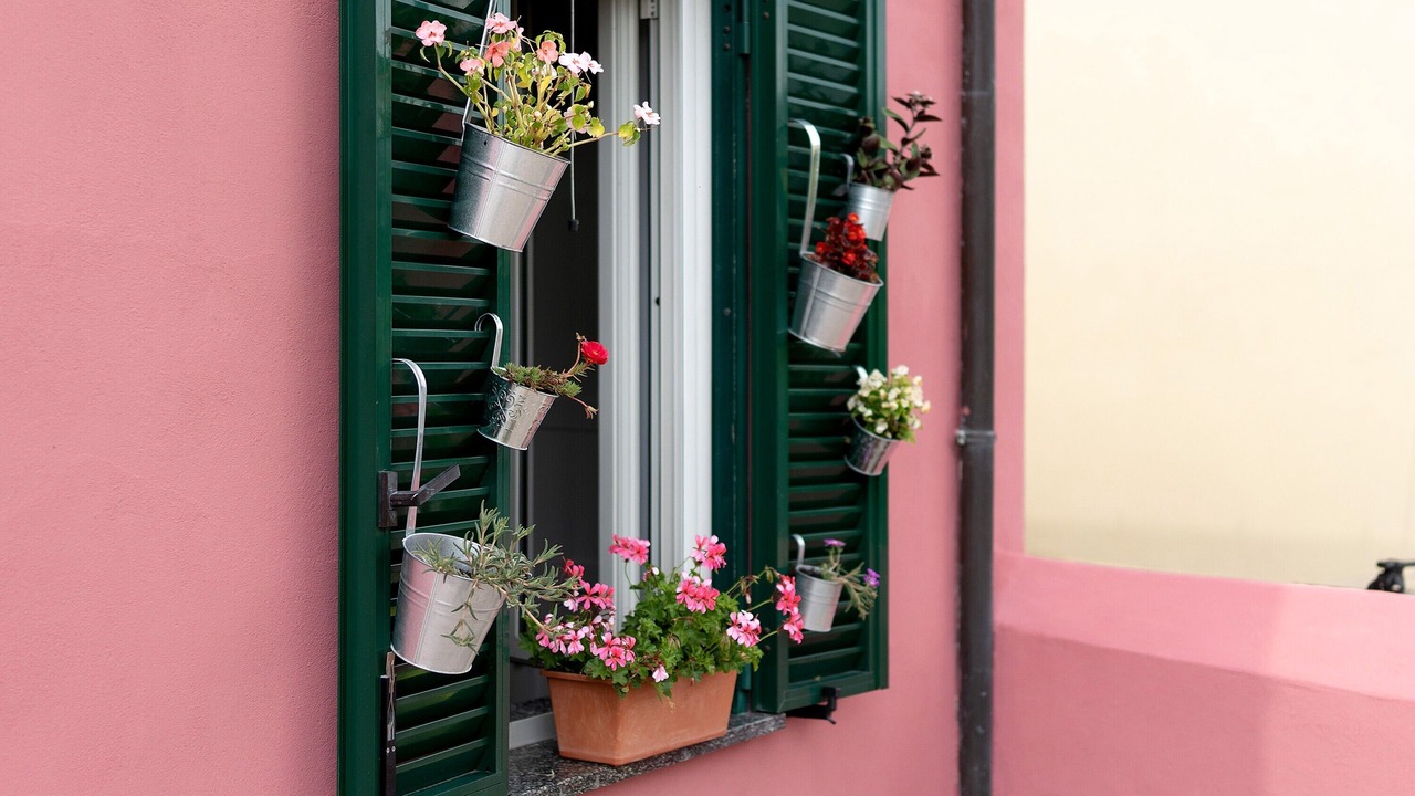 Photo of Outdoor in Brebbia