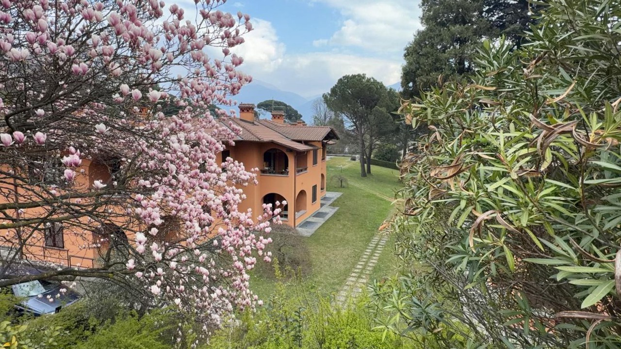Photo of Outdoor in Menaggio