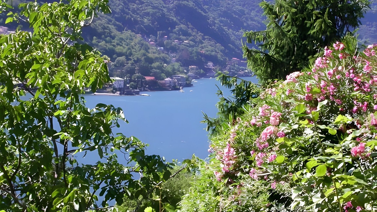 Photo of Others in Pognana Lario