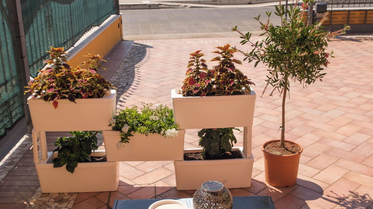 Photo of Others in Sottomarina