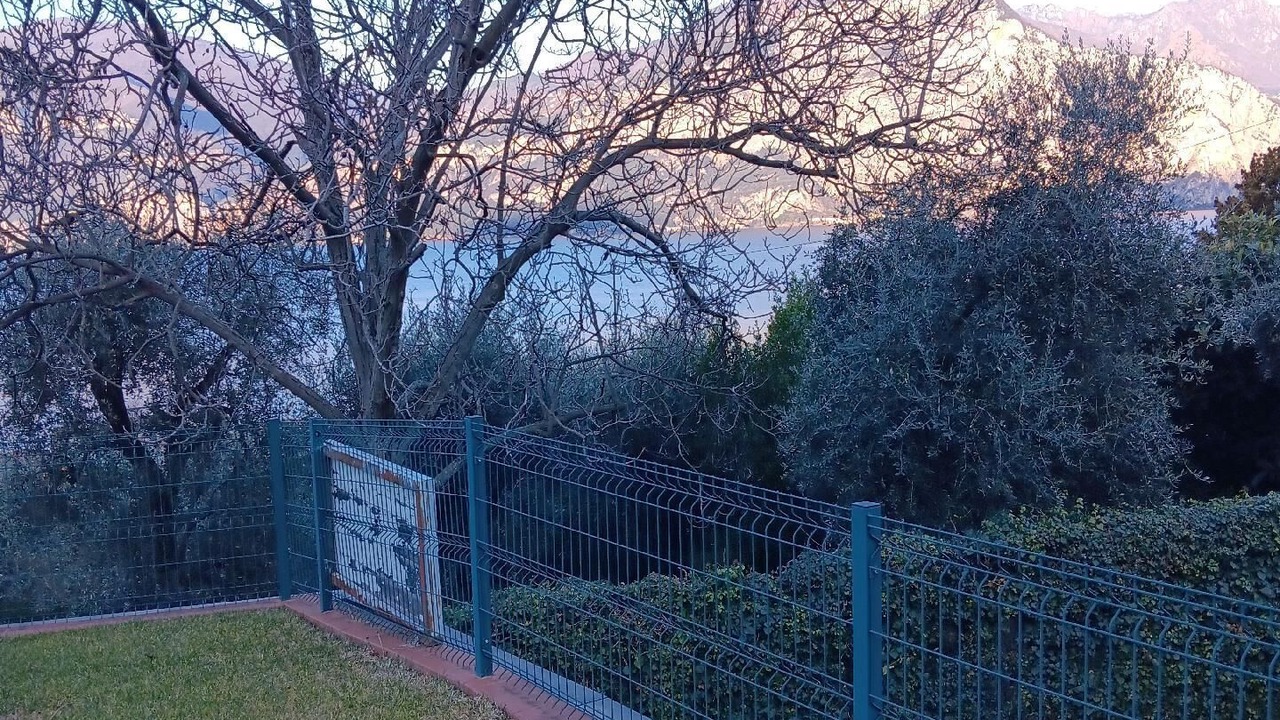 Photo of Others in Assenza