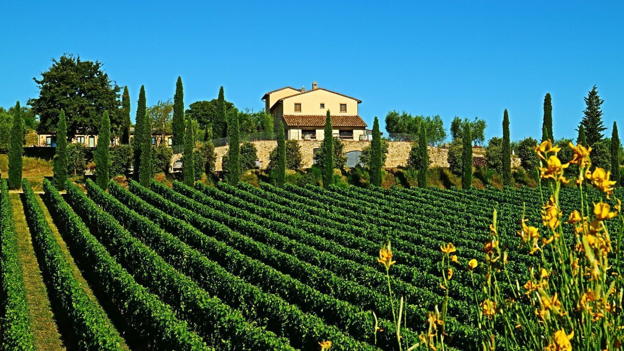 Photo of Outdoor in Sarteano