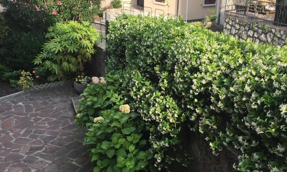 Photo of Outdoor in Pieve