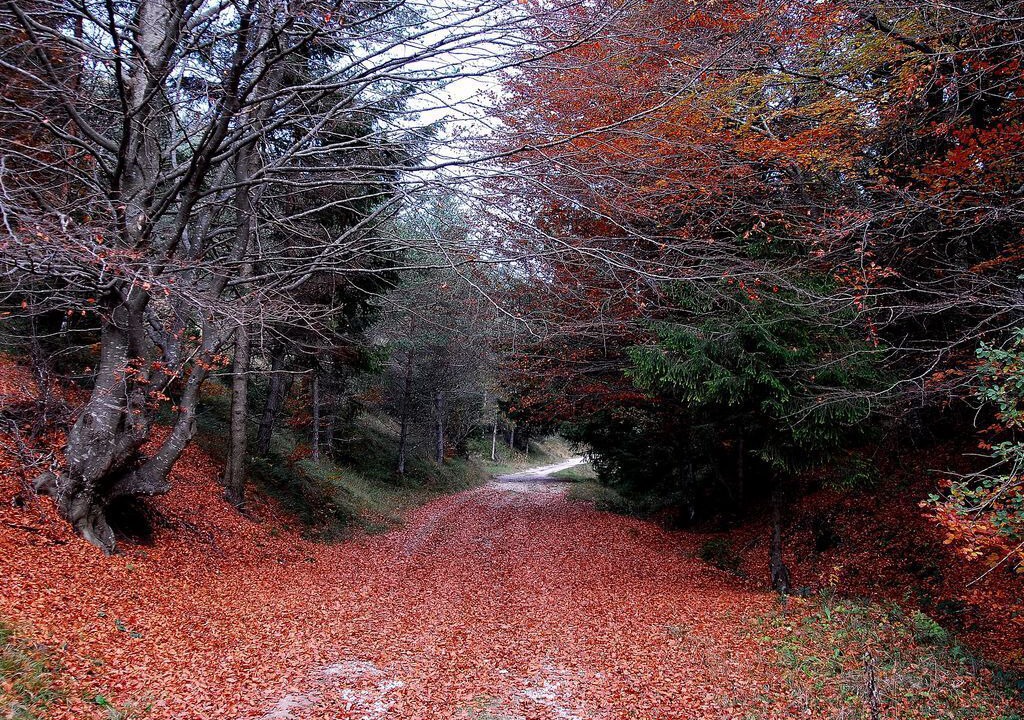 Photo of Outdoor in Pieve