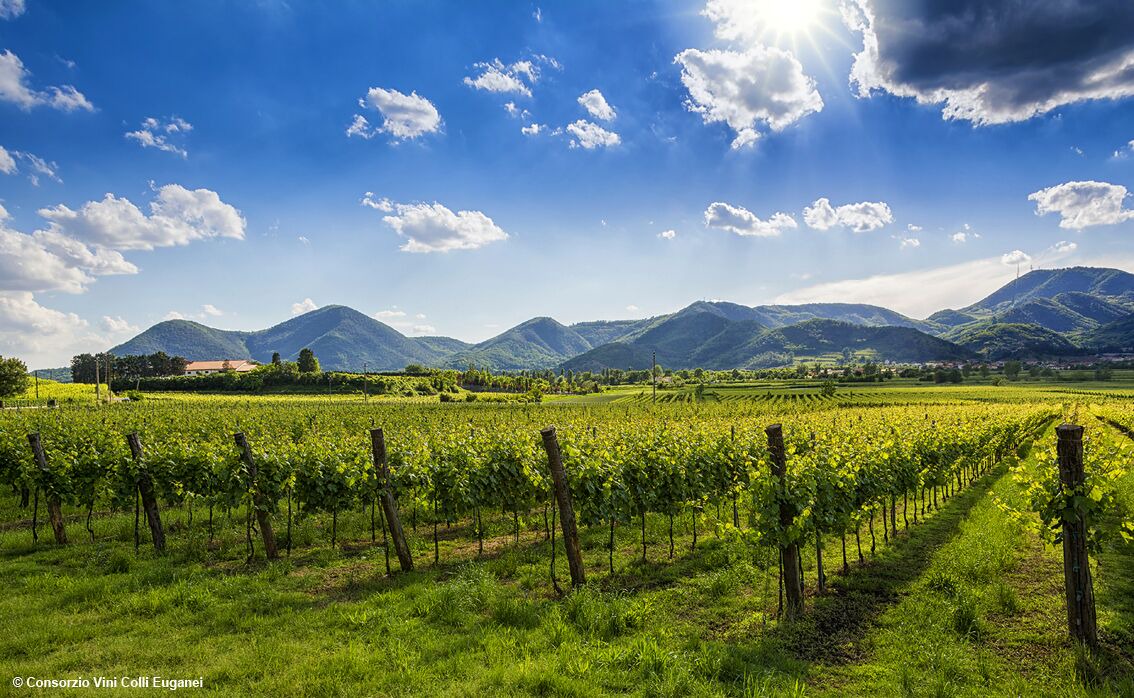Photo of Outdoor in Padova