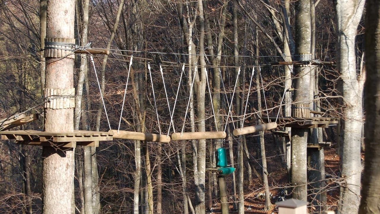 Photo of Others in Bosco Chiesanuova