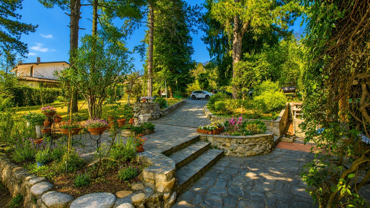 Photo of Outdoor in Pisano