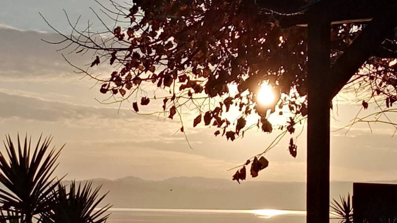 Photo of Outdoor in Lake Bracciano