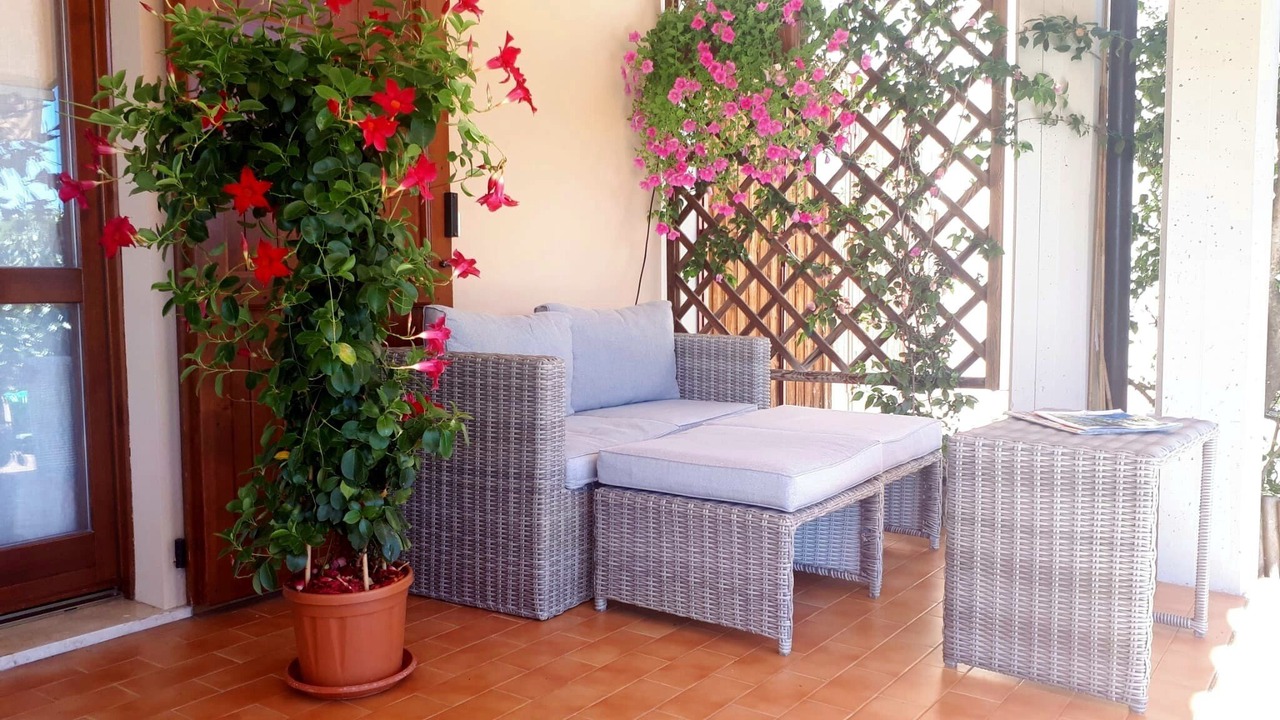 Photo of Patio Balcony in Monte
