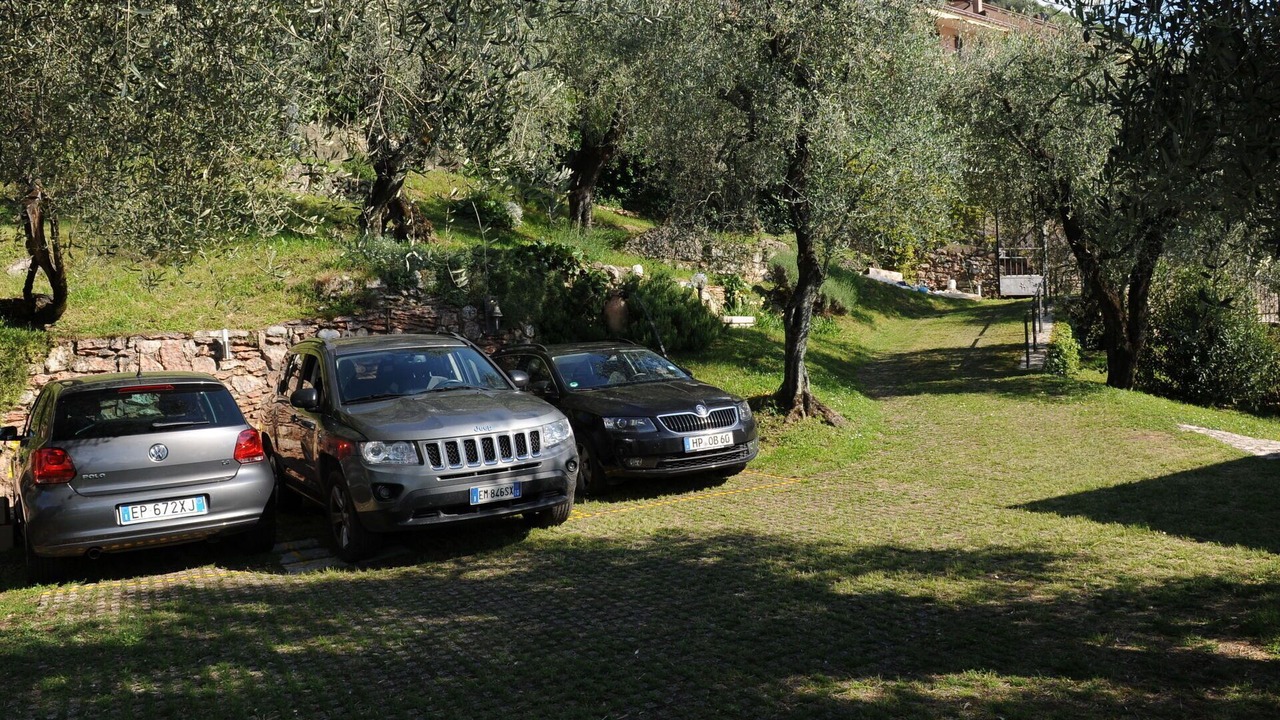 Photo of Others in Malcesine