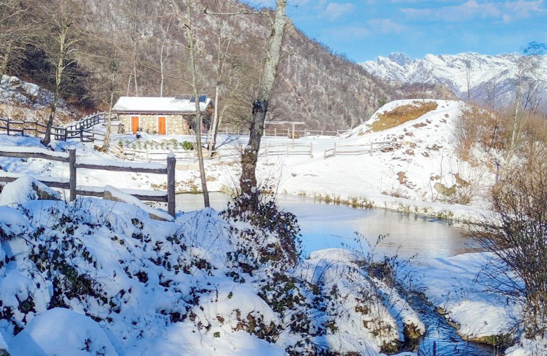 Photo of Others in Mottarone