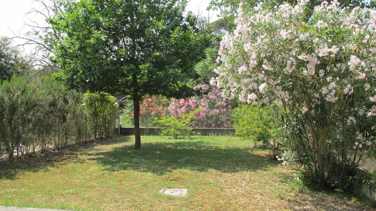 Photo of Outdoor in Lido di Volano