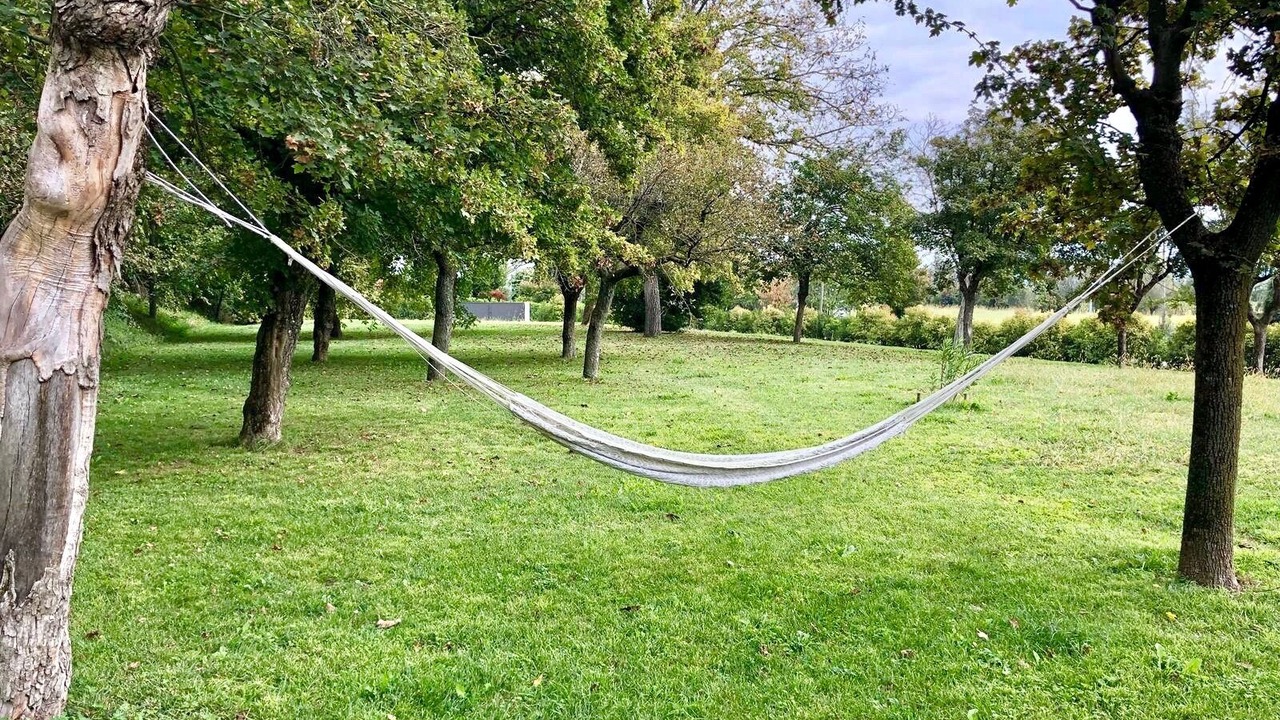 Photo of Outdoor in Creazzo