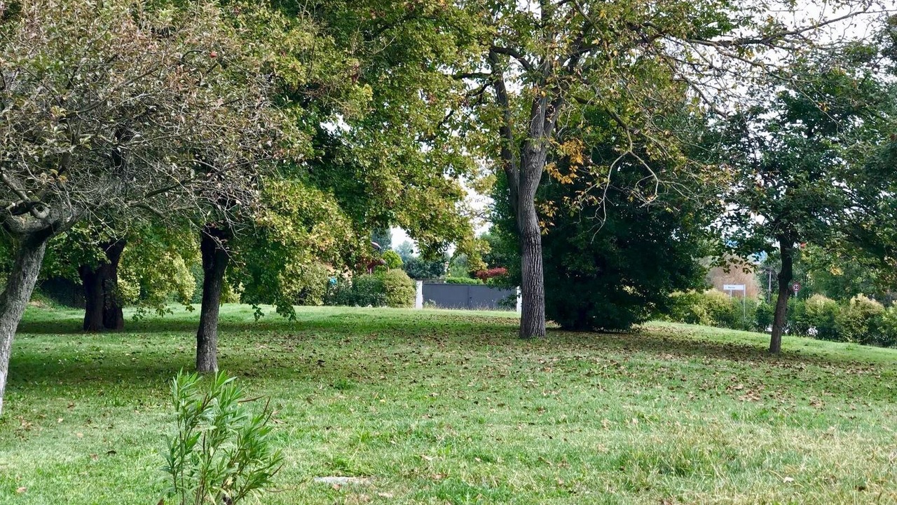 Photo of Outdoor in Creazzo