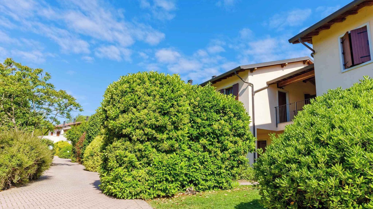Photo of Outdoor in Peschiera del Garda