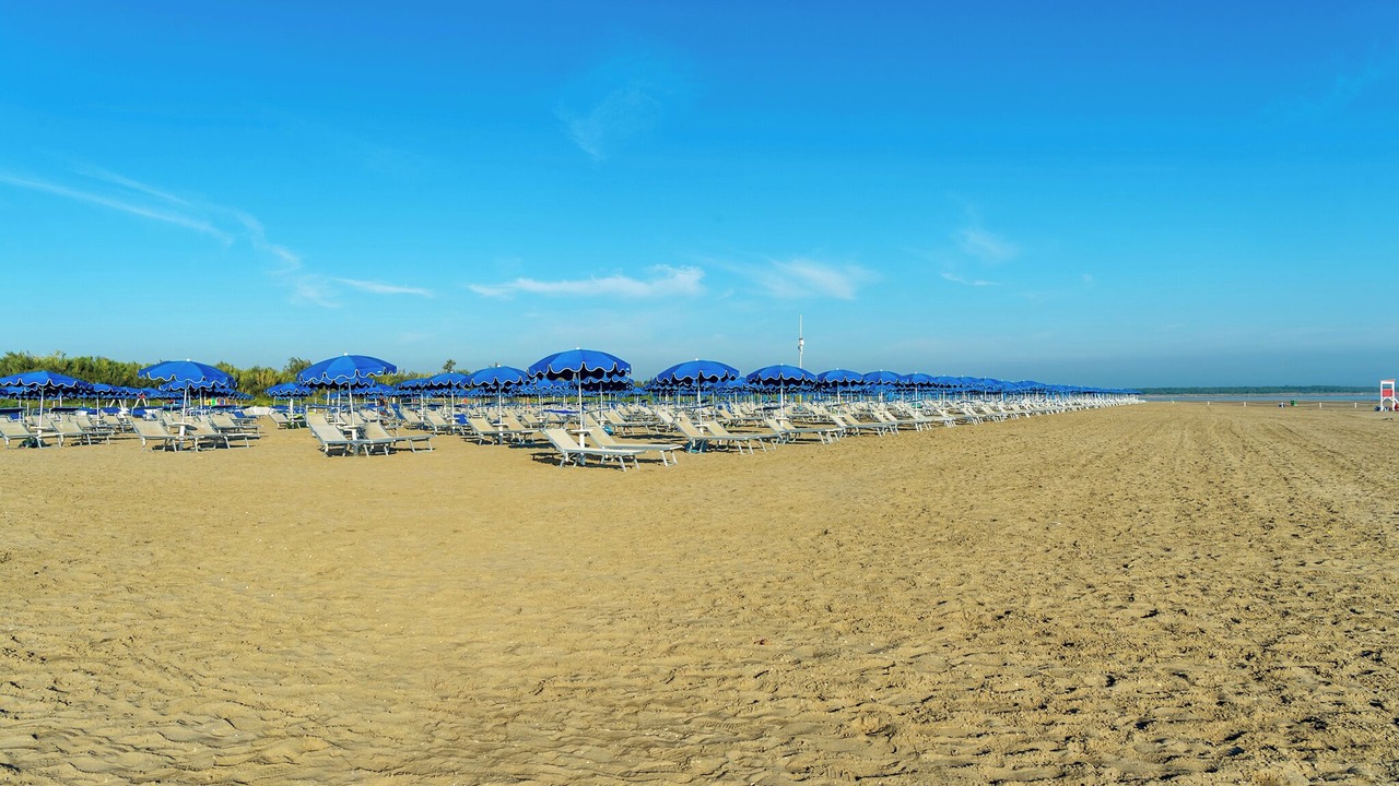 Photo of Others in Isola Albarella