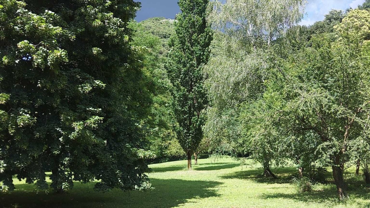 Photo of Others in Nord-Est