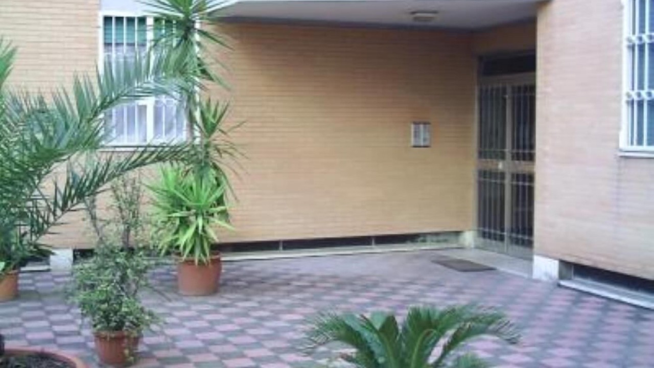 Photo of Outdoor in Aurelio
