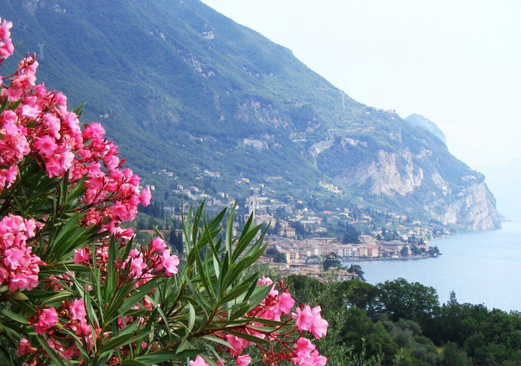 Photo of Outdoor in Gargnano