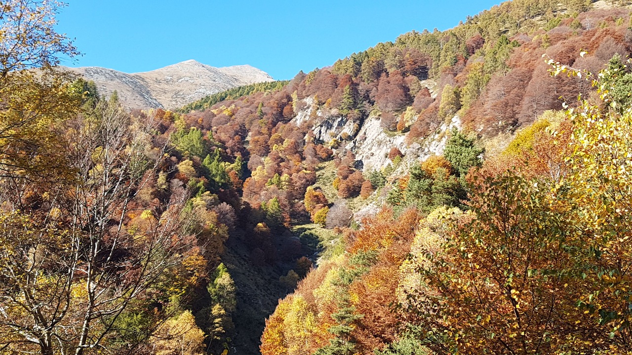 Photo of Outdoor in Sorico