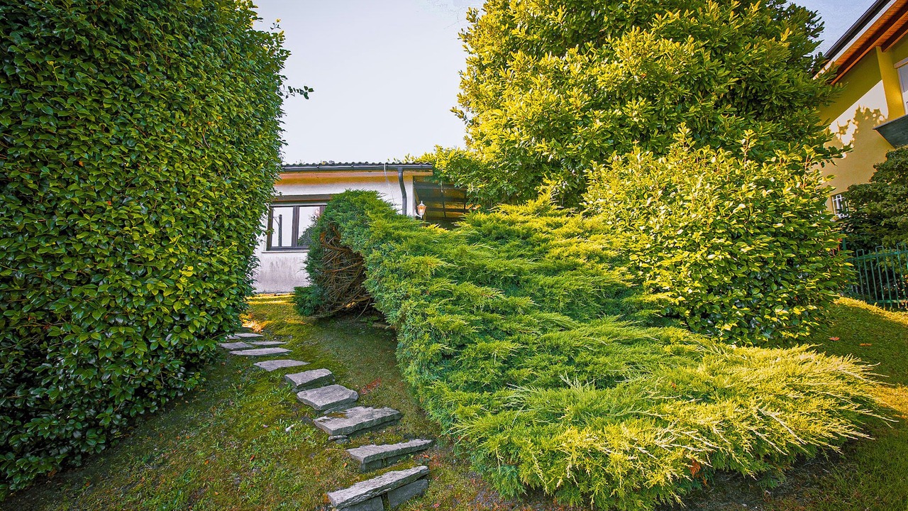 Photo of Outdoor in Germignaga