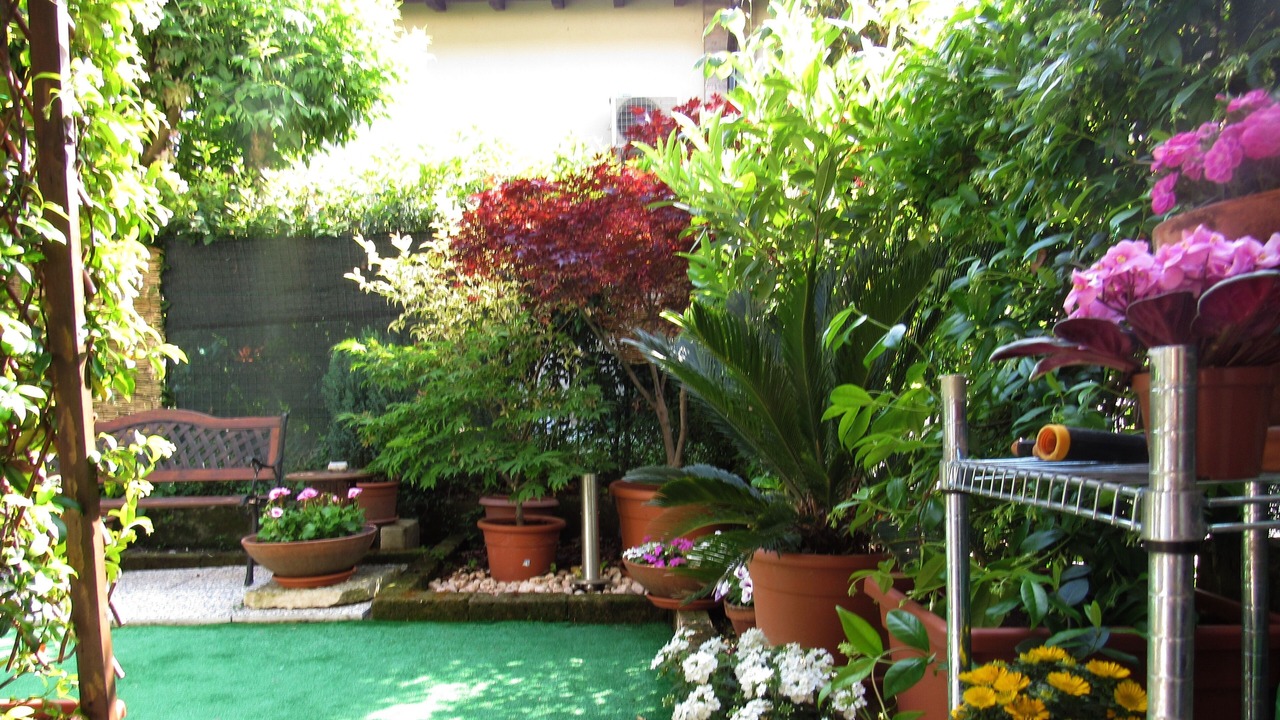 Photo of Outdoor in Desenzano del Garda