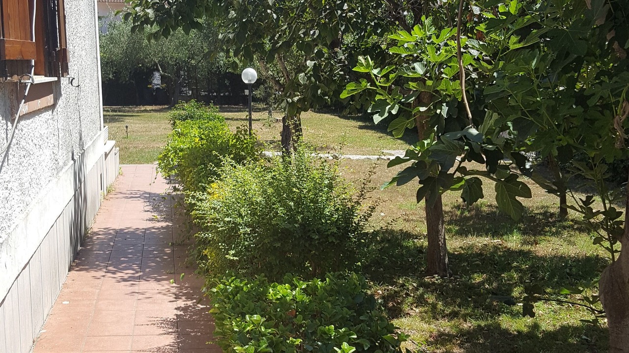 Photo of Outdoor in Latina Lido