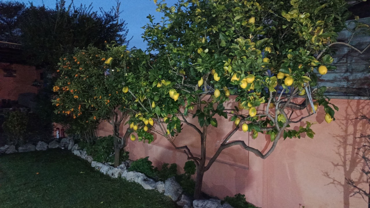 Photo of Outdoor in Zona XXX Castel Fusano