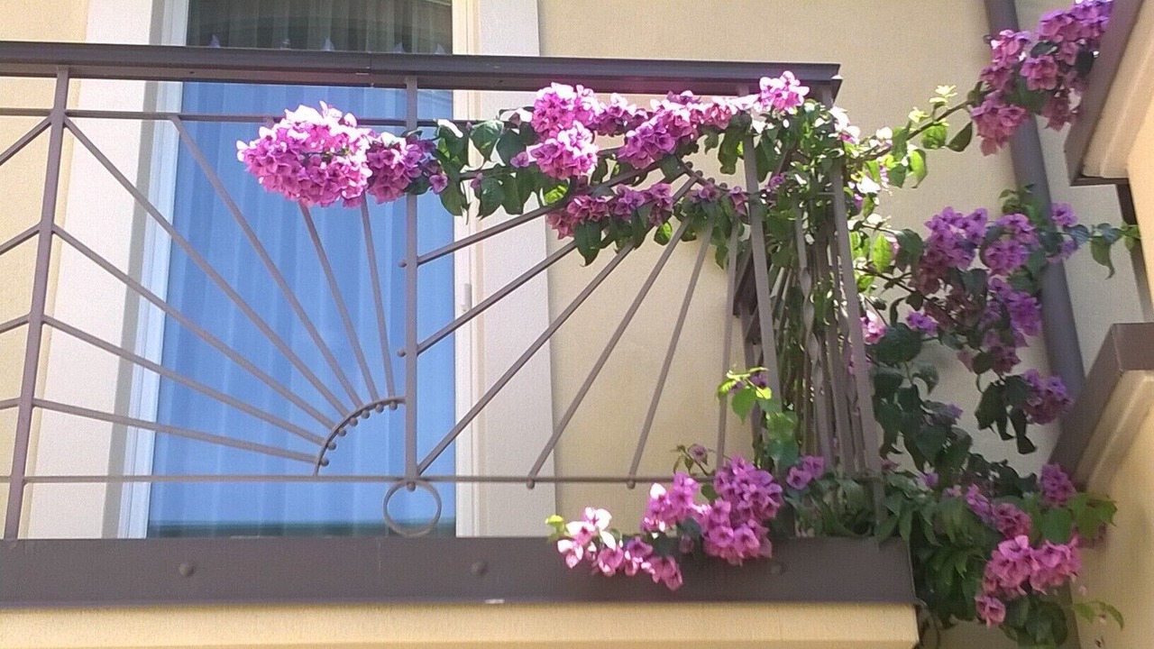Photo of Outdoor in Malcesine