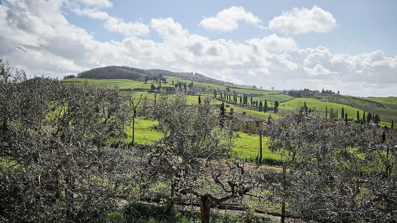Photo of Others in Pienza