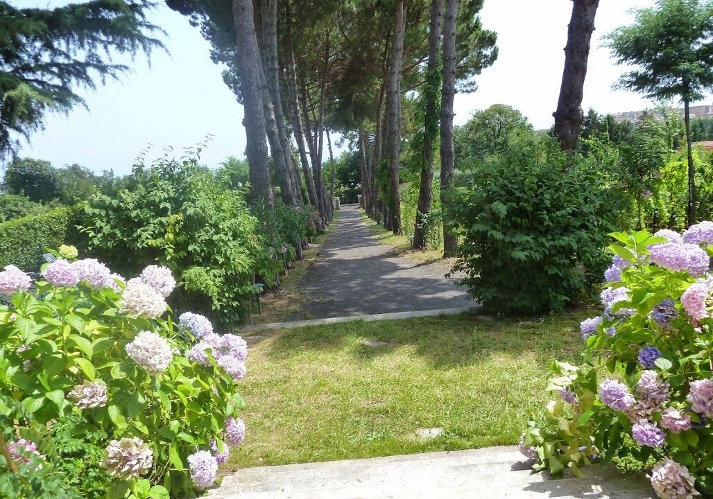Photo of Outdoor in Velletri