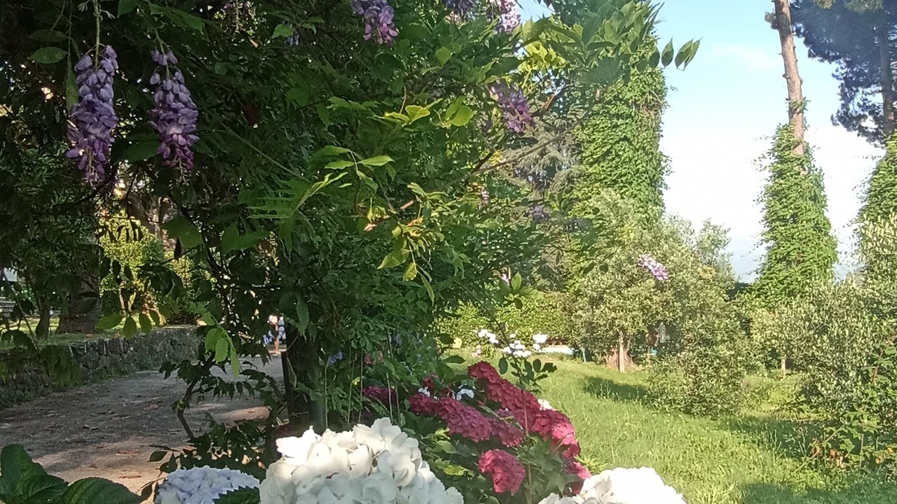 Photo of Outdoor in Velletri
