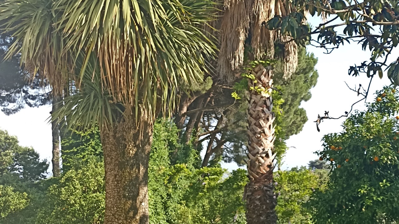 Photo of Outdoor in Velletri